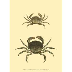 Antique Crab I by James Sowerby 10x13