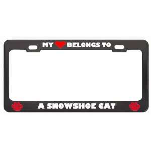 My Heart Belongs To A Snowshoe Cat Animals Pets Metal License Plate 