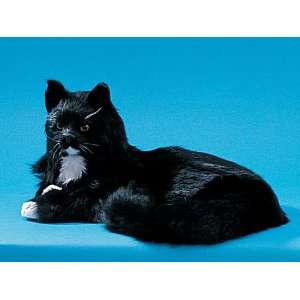  Cat with Open Eyes Collectible Figurine Kitten Statue 