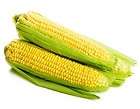1Lb Incredible Sweet Corn 85 Day