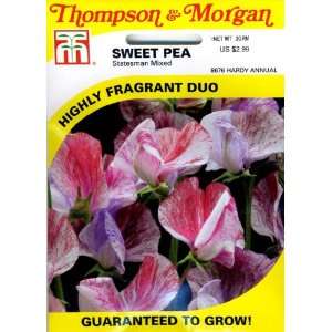   8676 Sweet Pea Statesman Mixed Seed Packet Patio, Lawn & Garden