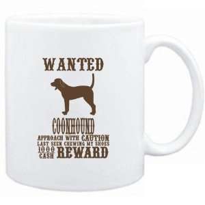   White  Wanted Coonhound   $1000 Cash Reward  Dogs