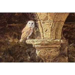  Alan Hunt   Ancient Glow European Barn Owl