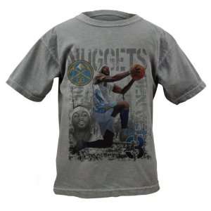  Ty Lawson Denver Nuggets Youth Titanium Caged Player Soft 