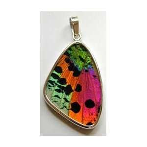  Sunset Moth Butterfly Large Wing Pendant Arts, Crafts 