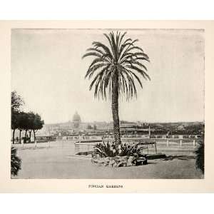  1906 Print Pincio Gardens Rome Italy Palm Tree Botanical 
