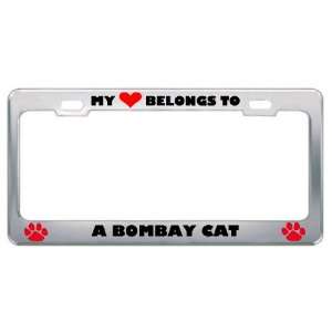 My Heart Belongs To A Bombay Cat Animals Pets Metal License Plate 