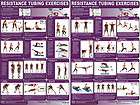 RESISTANCE TUBING Fitness Gym Wall Chart 2 Poster Set