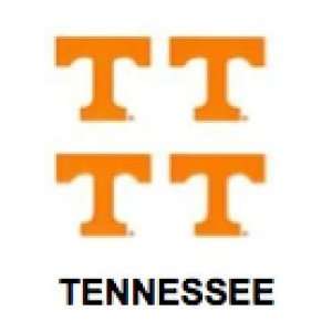  Innovative Adhesives BC 12 University of Tennessee Fan A 