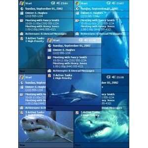  Shark Themes Software