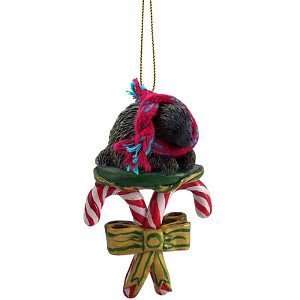 Porcupine Candy Cane Christmas Ornament 