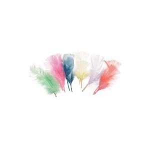    All Purpose Assorted Craft Feathers   Pastel 14g