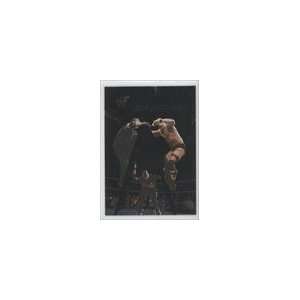   Cold Steve Austin/Shane McMahon/Vince McMahon Sports Collectibles