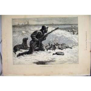  1882 Wild Duck Shooting Snow Dog Shipl Antique Print