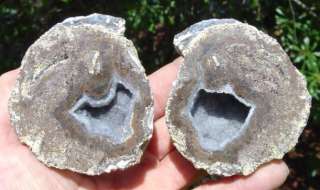 Beautiful Mexican Agate Geode Sliced Crystals Mineral  