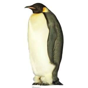  Penguin Animal Stand Up 
