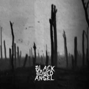  Verdun (Vinyl) Black Boned Angel Music