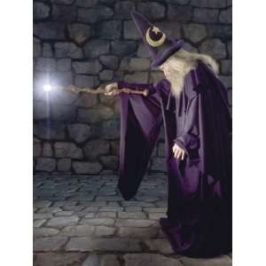   UMB91088 96 Inch by 72 Inch The Wizard Wall Mural