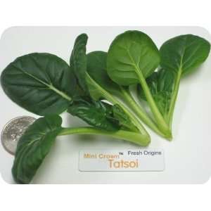 Minicrown Tatsoi   1   3oz Container (Average 50 Pieces Per Container 