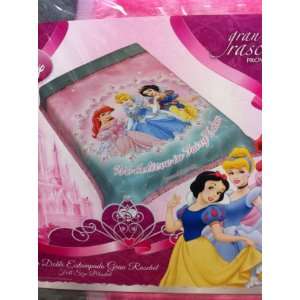  Princess Fairy Tales Full Size Raschel Plush Blanket  71 