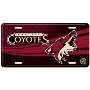  Phoenix Coyotes Street License Plate   12x6