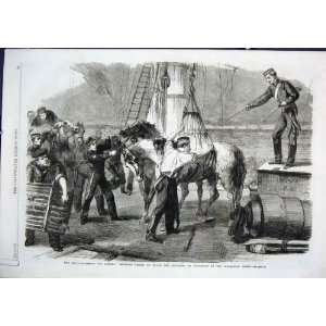  Horses By Ship, Reinforcements For Canada 1862