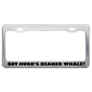 Got HubbS Beaked Whale? Animals Pets Metal License Plate Frame Holder 