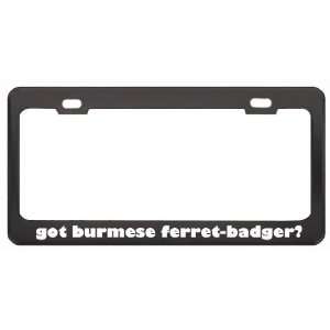 Got Burmese Ferret Badger? Animals Pets Black Metal License Plate 