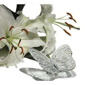 com Waterford Crystal BUTTERFLY   MADE IN IRELAND   NEW IN WATERFORD 