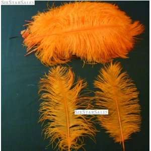 Ostrich~Orange 20 Ostrich Feather 13 16 to Decorate Eiffel Tower Vase