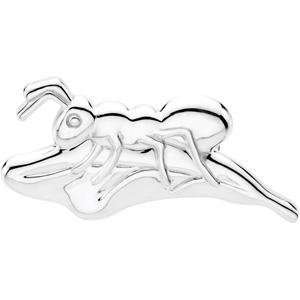  Preserving Ant Brooch in Sterling Silver Jewelry