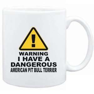    DANGEROUS American Pit Bull Terrier  Dogs