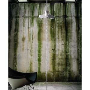  Cross Over floor lamp   110   125V (for use in the U.S 