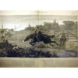  1884 Berkley Horse Gallop Rider Dog Old Print Fine Art 