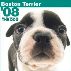  Boston Terrier The Dog 2008 Wall Calendar