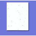   Express 8 1/2 x 11 Card Cover Stock   Stardust White (Pkg of 10