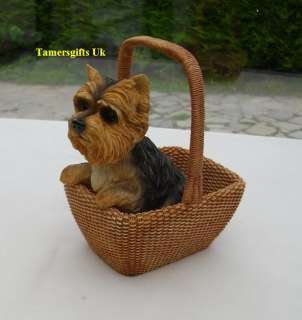 Leonardo Dog Studies Yorkshire Terrier in Basket Bnew  