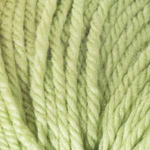  Valley Yarns Amherst [Sweet Pea] Arts, Crafts & Sewing