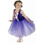 Wish Come True Rosetta Princess Dress Purple Size MC