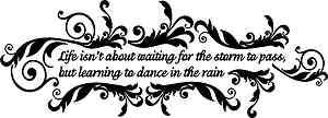   Waiting For The Storm To Pass.Vinyl Wall Decals Stickers Quotes  