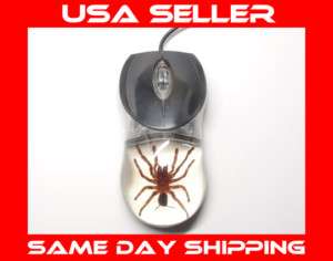 COMPUTER OPTICAL MOUSE w/ TARANTULA SPIDER GREAT GIFT  