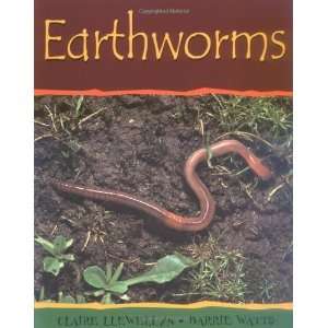  Earthworms (Minibeasts) [Paperback] Claire Llewellyn 