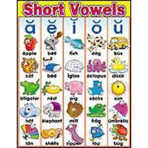 Chart  Short Vowels Toys & Games