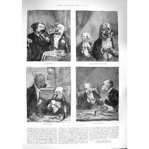   1888 DOG DAYS COMEDY SOLICITOR CLIENT STAGER DRINKING