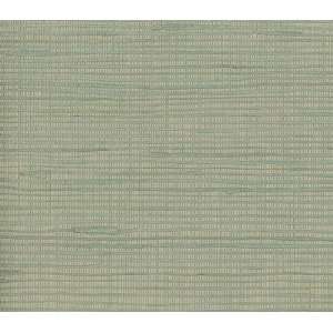  Jute Regular Weave Wallpaper DSG465