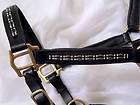 Browbands, Dressage Bridles items in Wholesale Equestrian Outlet store 