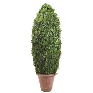  96 Cone Shaped Grass/Ivy Leaf Topiary in Polyresin Pot 