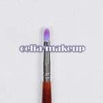 Pro 16 Purple Makeup Eyeshadow Cosmetic Brush set[BS18]  