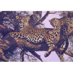  Lee Kromschroeder   Family Tree   Leopards