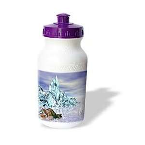   Polar Bear Planet 3d   Water Bottles 